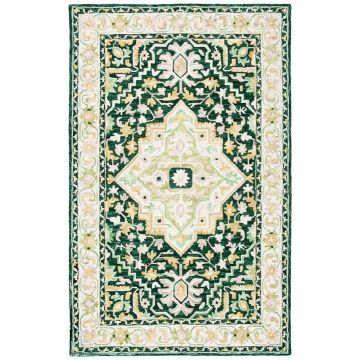  Tuscan Green Ivory Persian Handmade Wool Carpet 