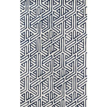 Delhi Modish DLD-51  Wool Handmade Carpet 