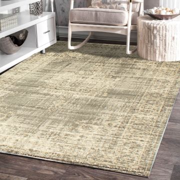 Rugsville Daphne Traditonal Gray Oriental Persian Carpet 5' x 7'7"