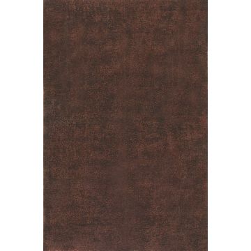 Rugsville Overdyed Rug Brown Persian 11051 6' x 9'